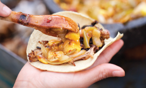 Taco de pollo con mango en la mano