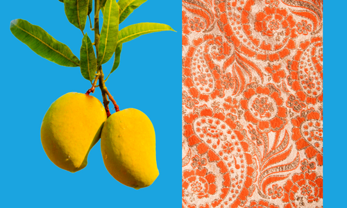 Diseño de Mangos y Paisley