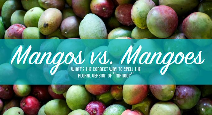 Mangos or Mangoes - Pile of mangos
