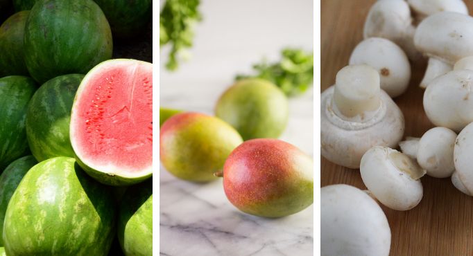 Agriculture Promotion Groups - watermelons, mangos and mushrooms each have their own agriculture promotion group