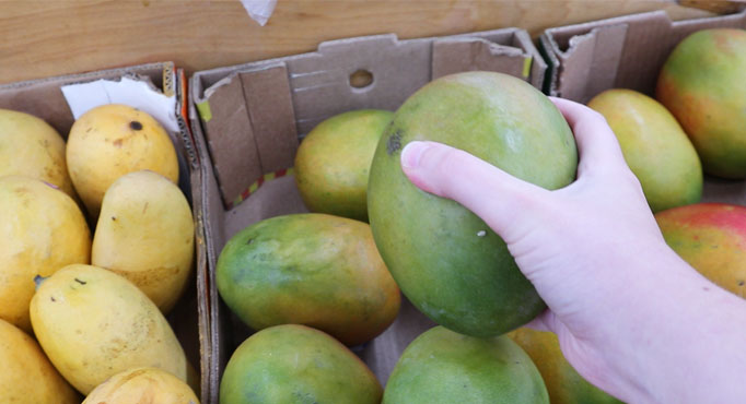 Cómo elegir un mango maduro