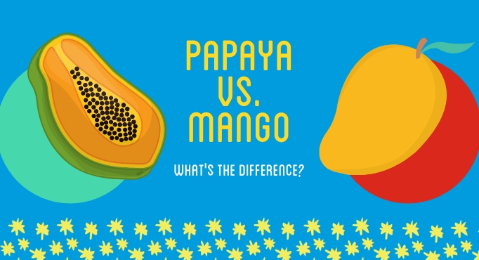 Papaya vs. Mango 1