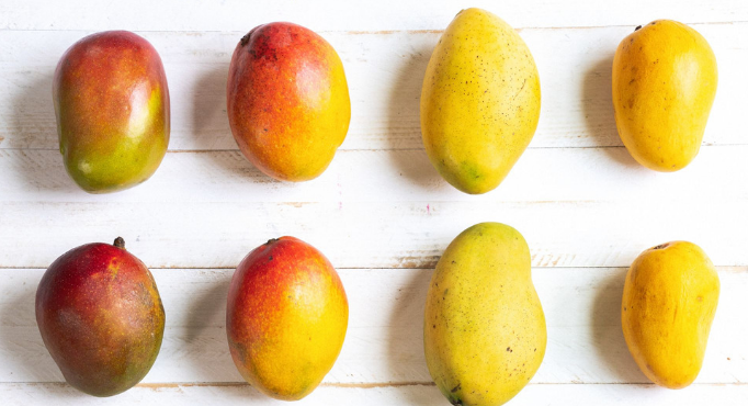 Mango Benefits 1